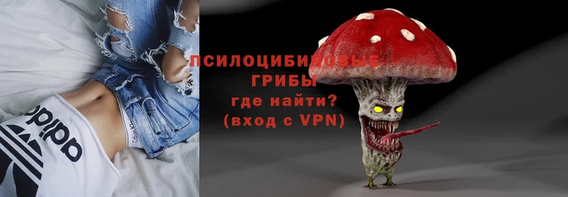 blacksprut ССЫЛКА  продажа наркотиков  Сорочинск  Галлюциногенные грибы Psilocybine cubensis 